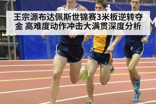 王宗源布达佩斯世锦赛3米板逆转夺金 高难度动作冲击大满贯深度分析