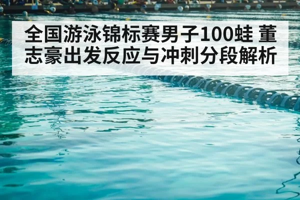 competitive swimming pool lanes